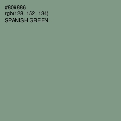 #809886 - Spanish Green Color Image